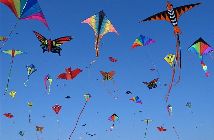 «Небо на ладони»: фестиваль воздушных змеев пройдет в Приморье.