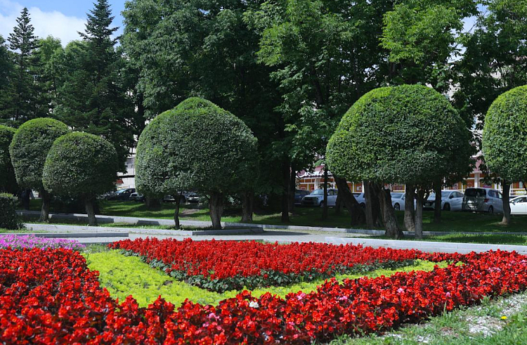 Приморский край – активный участник федерального конкурса благоустройства городов.