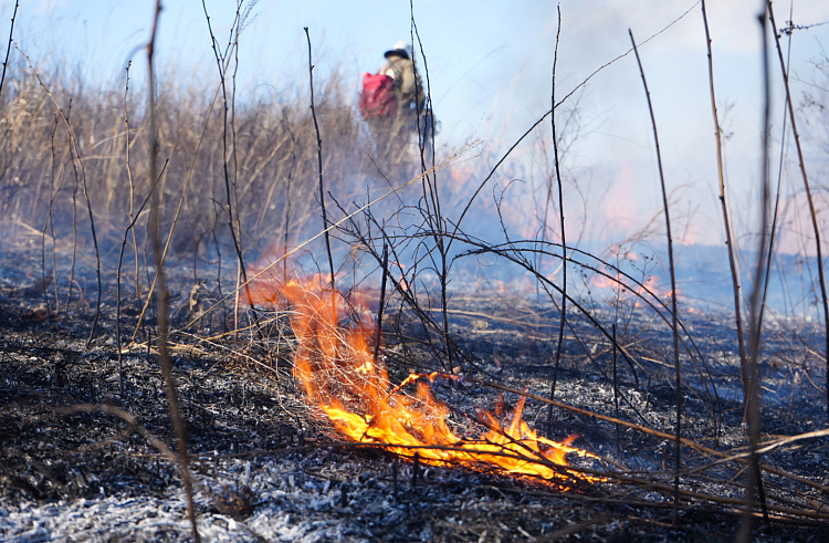 В 22 муниципалитетах Приморья введен особый противопожарный режим, сообщает  www.primorsky.ru.